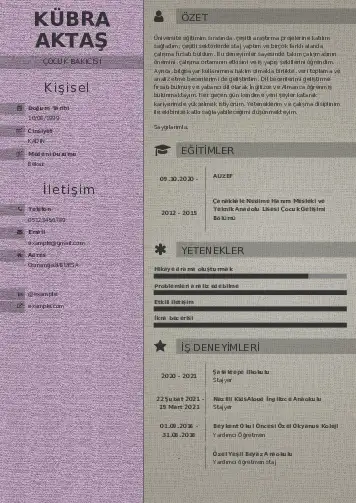 Çocuk Bakıcısı CV Örnekleri cv indir